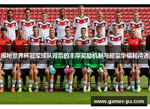 揭秘世界杯冠军球队背后的丰厚奖励机制与超豪华福利待遇