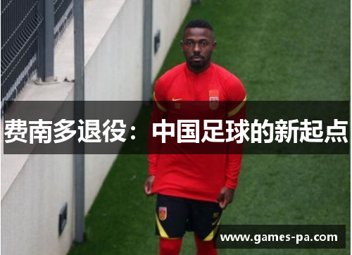 费南多退役：中国足球的新起点