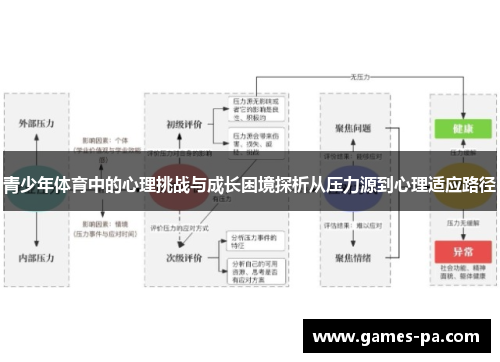 青少年体育中的心理挑战与成长困境探析从压力源到心理适应路径