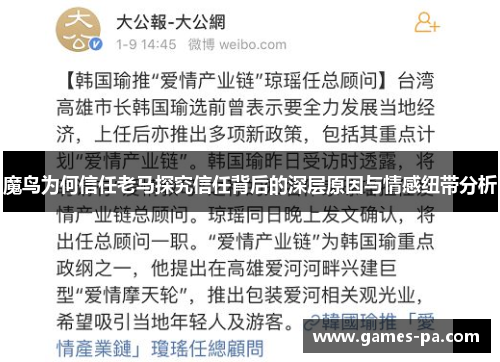 魔鸟为何信任老马探究信任背后的深层原因与情感纽带分析